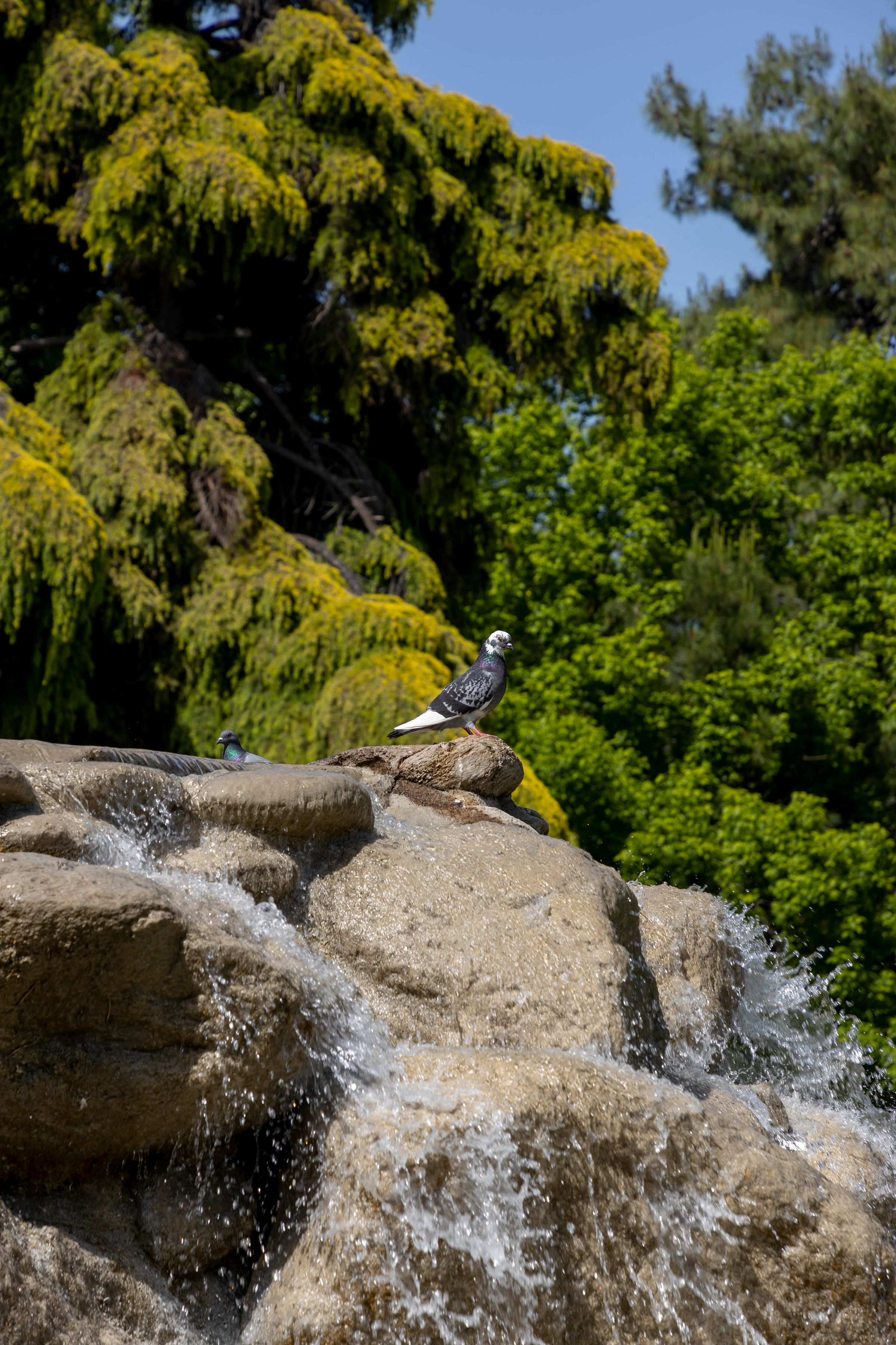 Parc municipal de Katerini photo